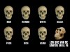 Skull Comparison 27122020221107.jpg